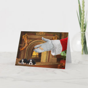 Bernese Mountain Dog Pups Cartão de Férias de Nata