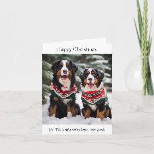 Bernese Mountain Dogs Cartão de Natal