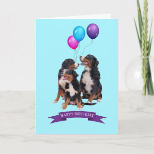 Bernese Mountain Dogs Feliz Cartão de Aniversário