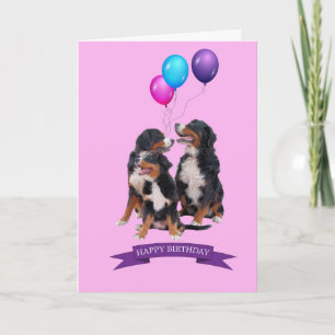 Bernese Mountain Dogs Feliz Cartão de Aniversário