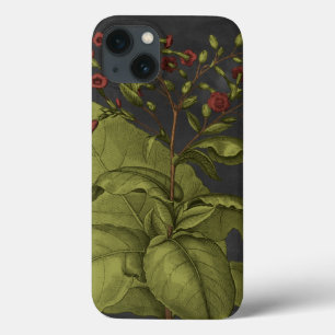 Besler Dramatique I