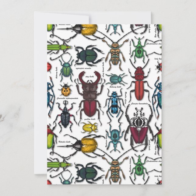 Besouros em branco (Frente)