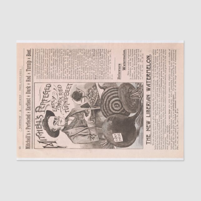 Beterrabas do catálogo da fazenda e papel antigos (Frente )