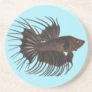 Betta Fish Porta copos