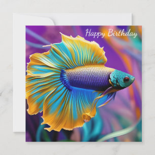 Betta Fish, púrpura de ouro azul Aniversário