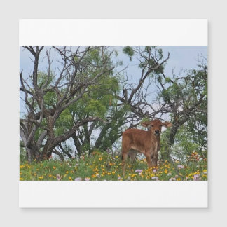 Bezerro Brahman em Flores Silvestres