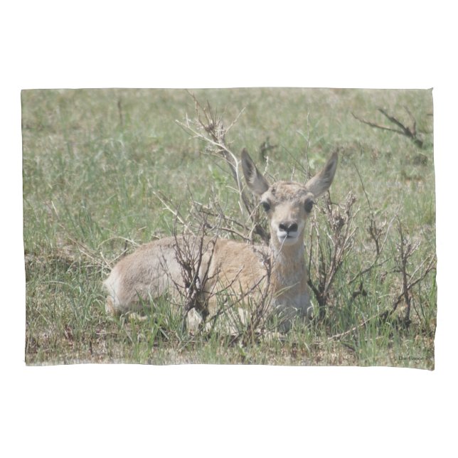 Bézerro de Antilope A7 (Frente)