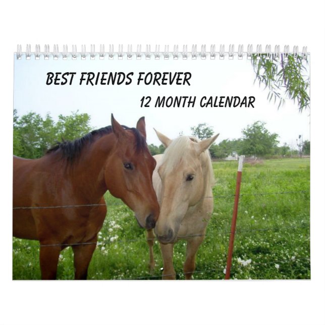 BFF - Melhores Amigos para Sempre - Calendário de  (Capa)