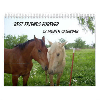 BFF - Melhores Amigos para Sempre - Calendário de 