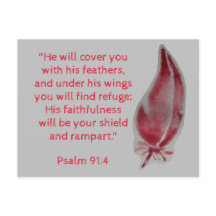 Bíblia Verso Cartão Postal Salm 91:4 Penas