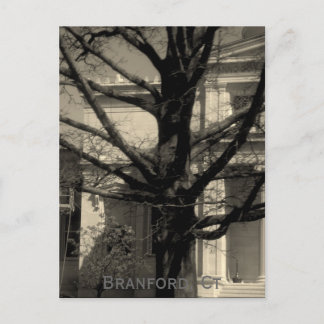 Biblioteca, Branford, cartão do Ct