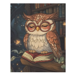 Biblioteca da meia-noite de Wise Owl