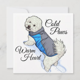 Bichon Snow de Coração Quente