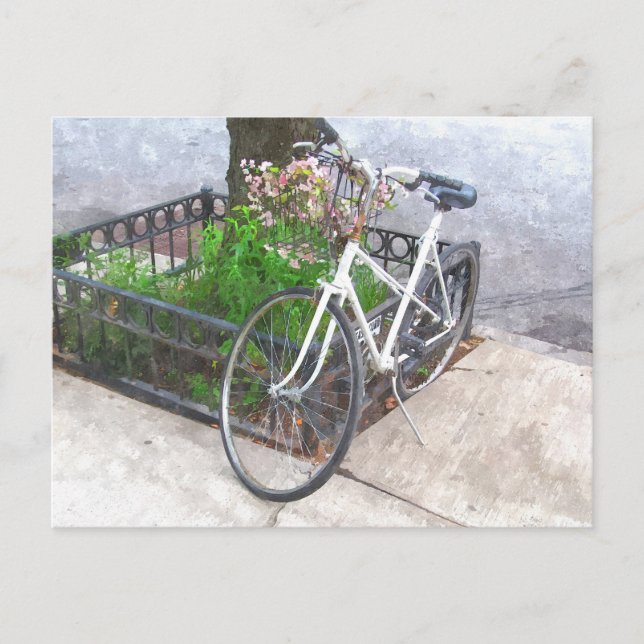 BICICLETA COM BASE DE FLORES CARTÃO POSTAL (Frente)