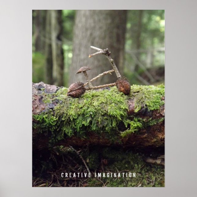 Bicycle Poster (Frente)