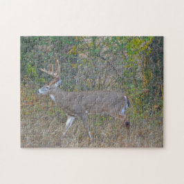 Big Buck Deer no Texas Wild Quebra-cabeça