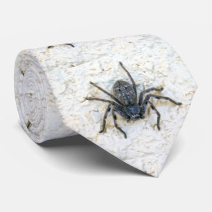 Big Female Huntsman Spider, Gravata no pescoço