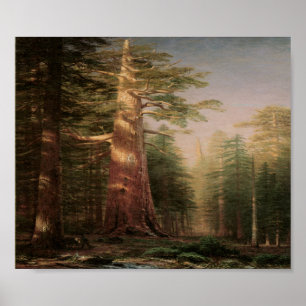 Big Pine Tree Vintage Art Print Poster