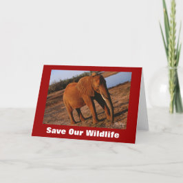 Big Red Salve Nosso Cartão De Saudação Da Vida Sel