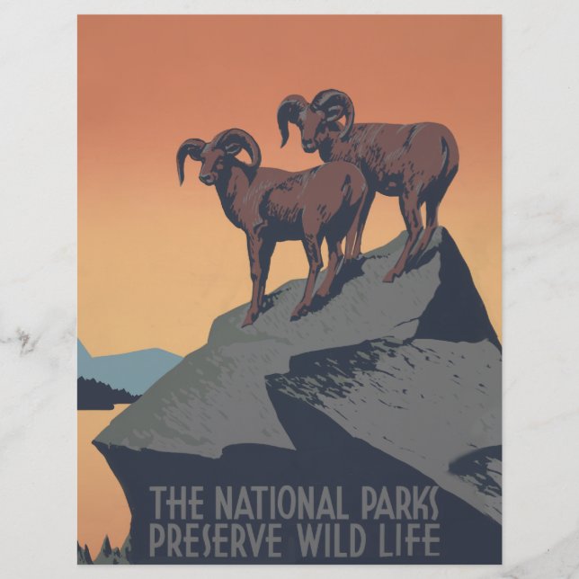 Bighorn Sheep American West Willife (Frente)