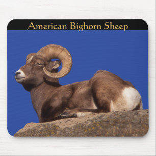 Bighorn Sheep Mousepad
