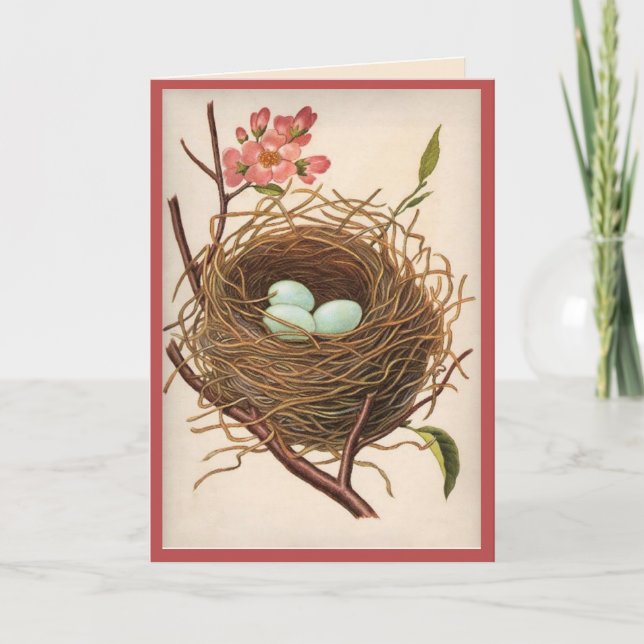 Bilhete de Agradecimento All Ocassion Birdnest (Frente)