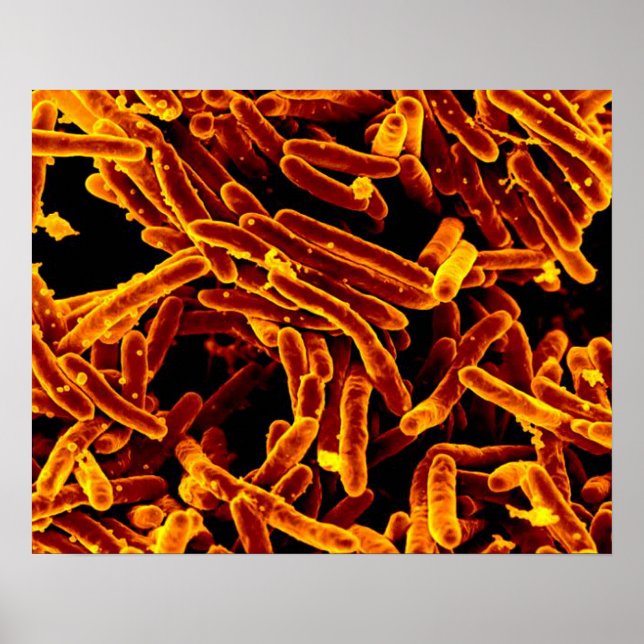 biologia microbiologia abstrato art canvas poster (Frente)