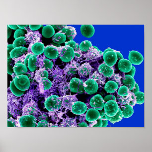 biologia microbiologia abstrato art canvas poster