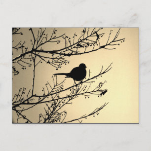 "Bird Black" Cartão Postal de Arte JTG