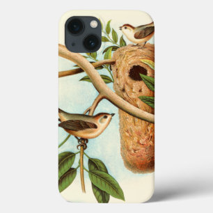 Bird Couple on a Nest Perched on a Branch