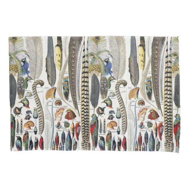 Bird Feather Wildlife Antique Feathers Art Nouveau (Frente)