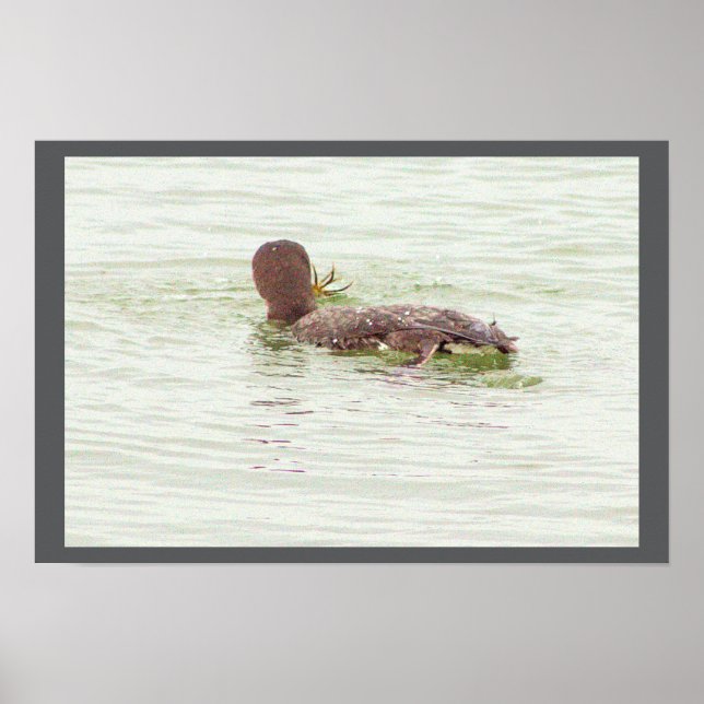 Bird Fishing in Ocean Poster (Frente)
