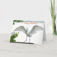 Bird Happy Birthday - Cartão de Saudação Irmã