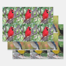 Bird Lover - 3 Design - Todas as Ocasiões