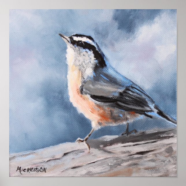 Bird Nuthatch Fine Art Impressão (Frente)
