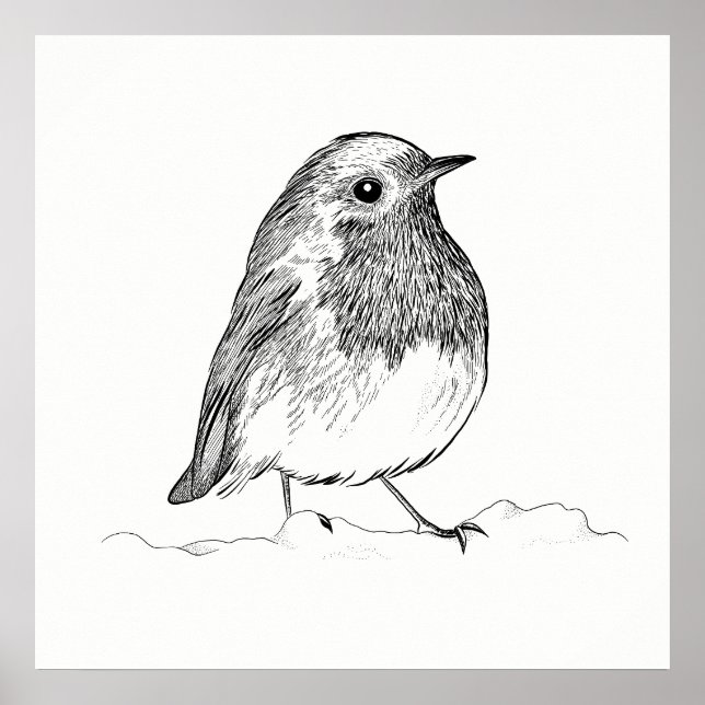 Bird Poster / Wall Art Robin (Frente)