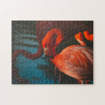 Bird Quebra-cabeça Fotografia da Melhor Vida Selva