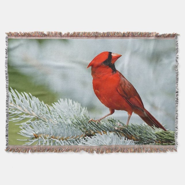 Bird red_blanket manta (Frente)