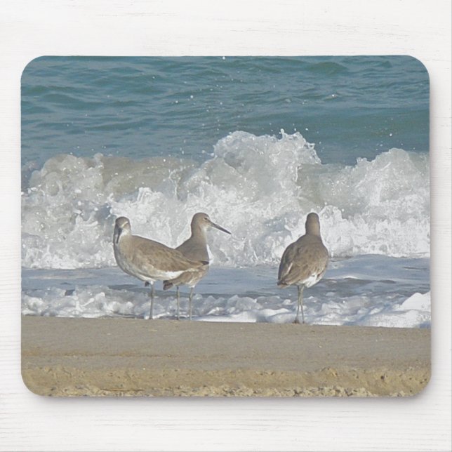 Bird Trio Mousepad (Frente)