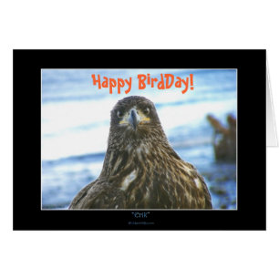 BirdDay feliz! Cartão da águia americana