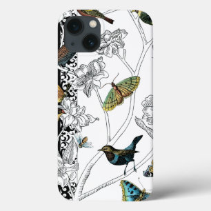 Birds and Butterfly on a Black & White Background