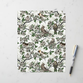 Birds and cherry blossom on white