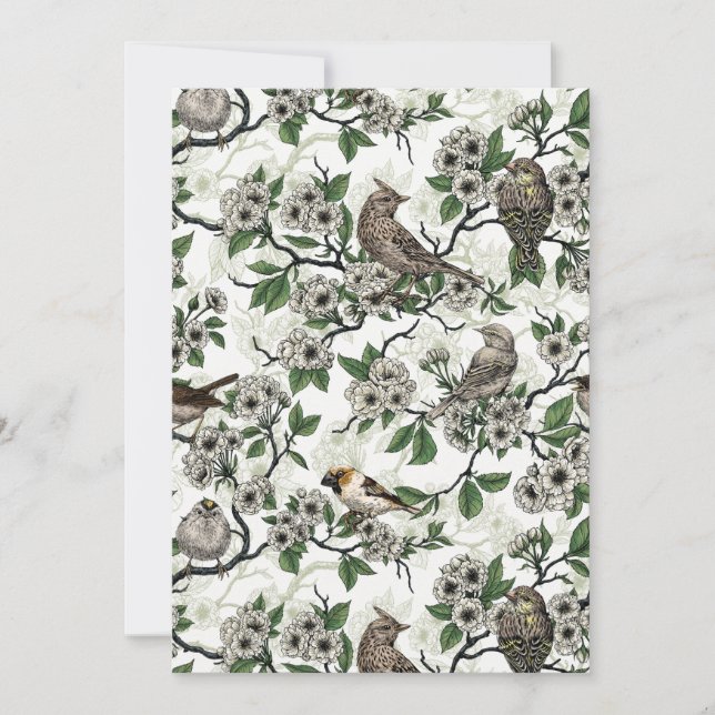 Birds and cherry blossom on white (Frente)