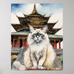 Birman Cat - Cat Art Impressão