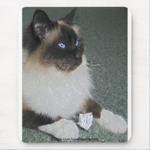 BIRMAN - CAT Mousepad de RAGDOLL