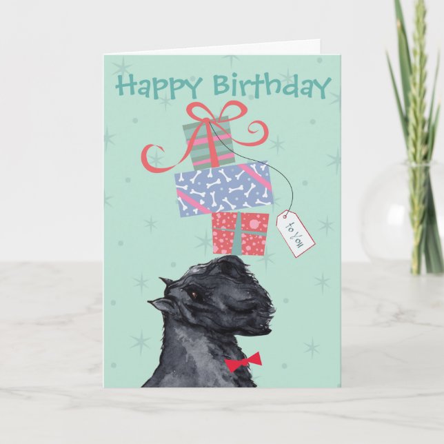 Birthday apresenta cartão Bouvier des Flandres (Frente)