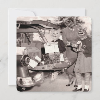 Biscoitos de escoteiro para venda! Cartão Comemora