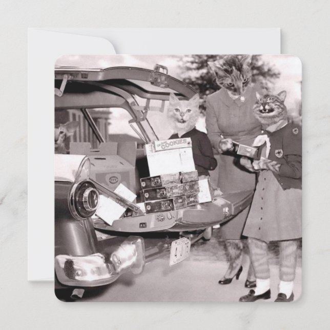 Biscoitos de escoteiro para venda! Cartão Comemora (Frente)