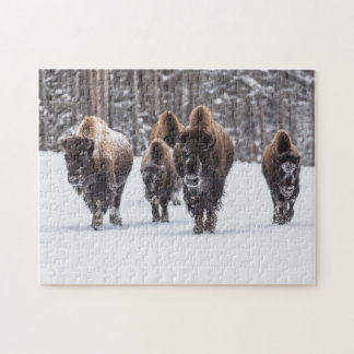 Bison Family em Snow Jigsee Quebra-cabeça