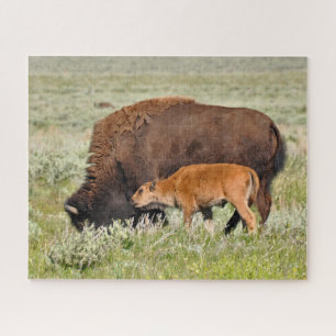 Bison Mama e Baby Design Quebra-cabeça